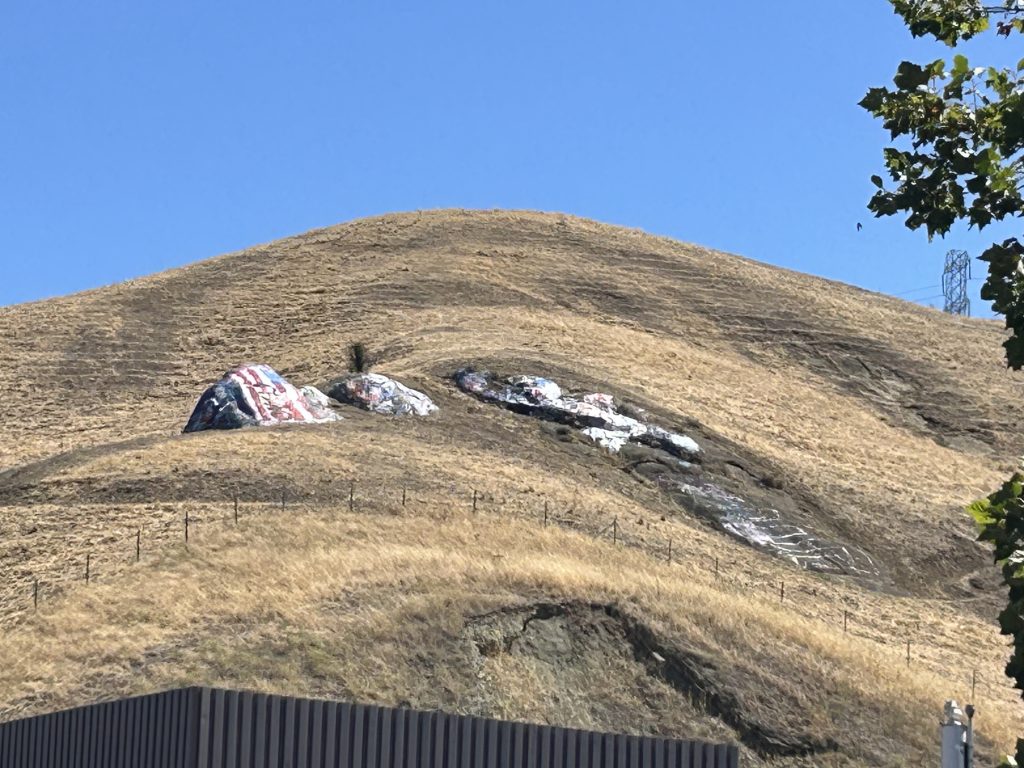 Moraga Painted Rocks