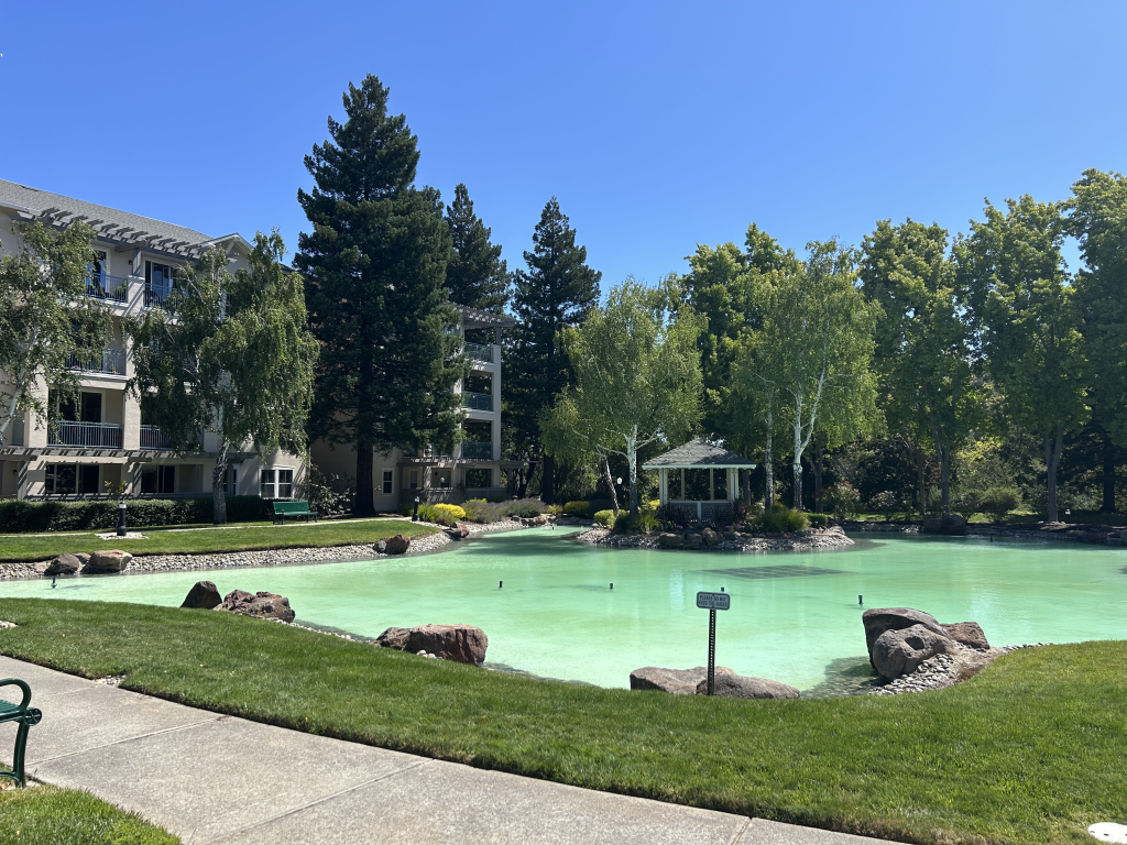 Interior water feature at The Waterford in Rossmoor